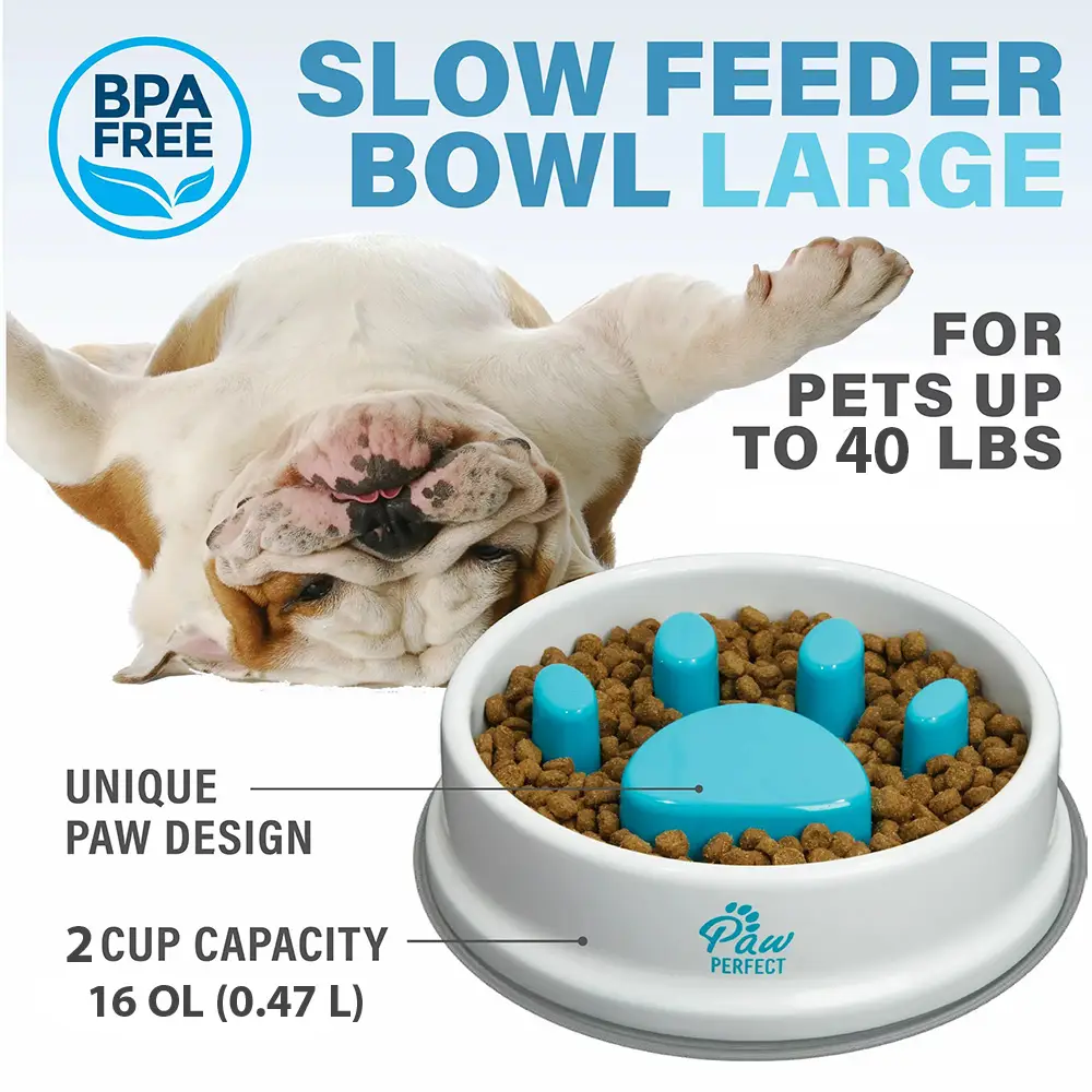 Non-Slip Slow Feeder Bowl For Dogs & Cats (3)