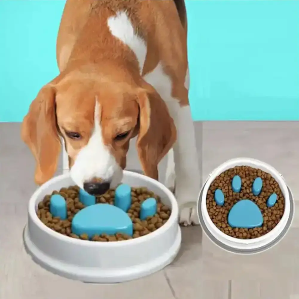 Non-Slip Slow Feeder Bowl For Dogs & Cats (7)