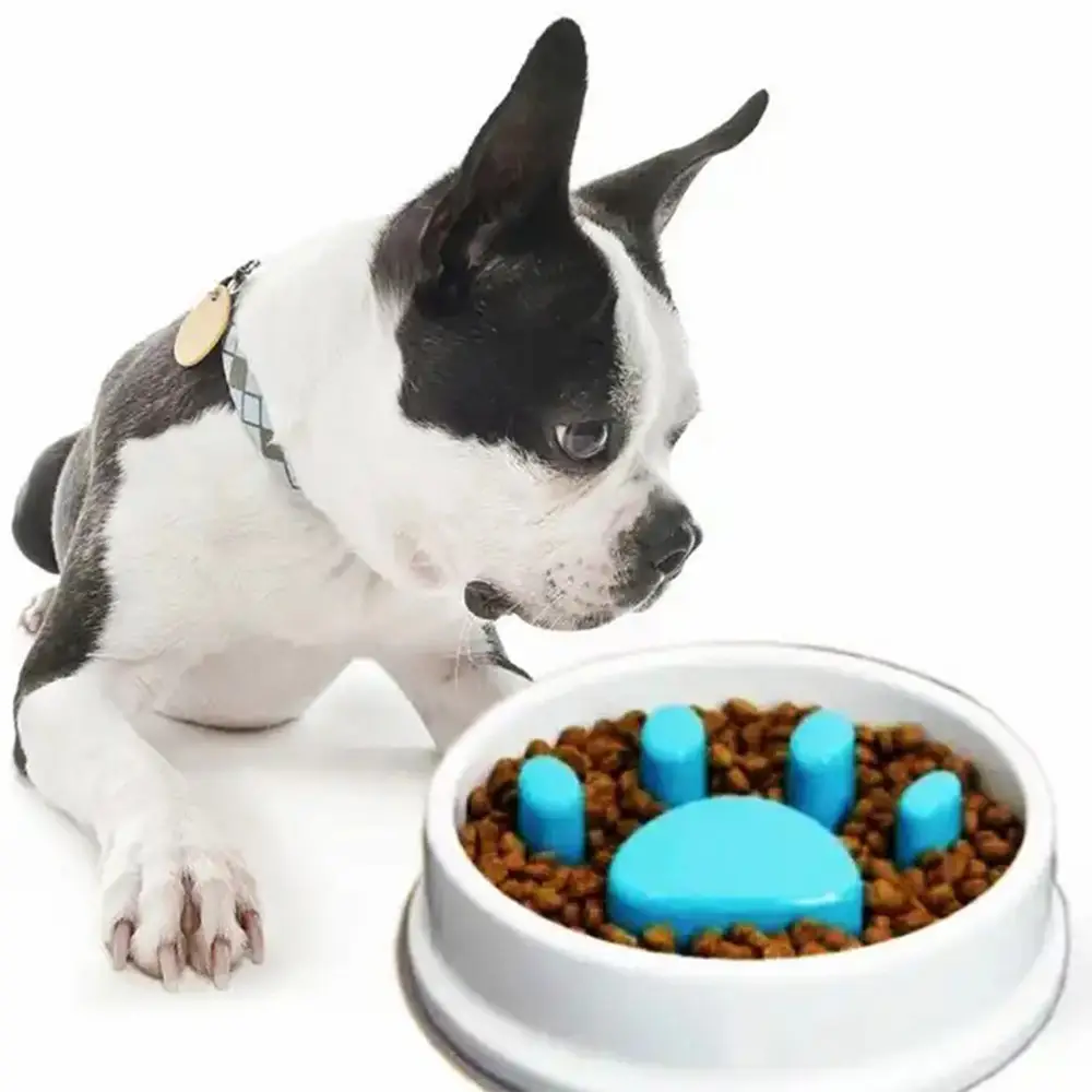 Non-Slip Slow Feeder Bowl For Dogs & Cats (8)
